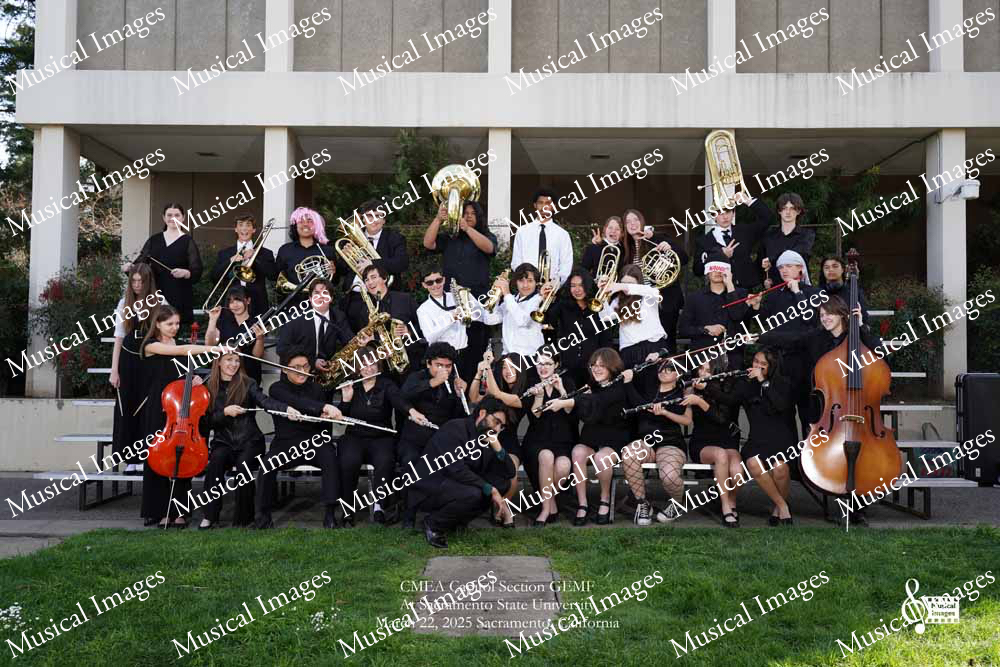 Musical Images